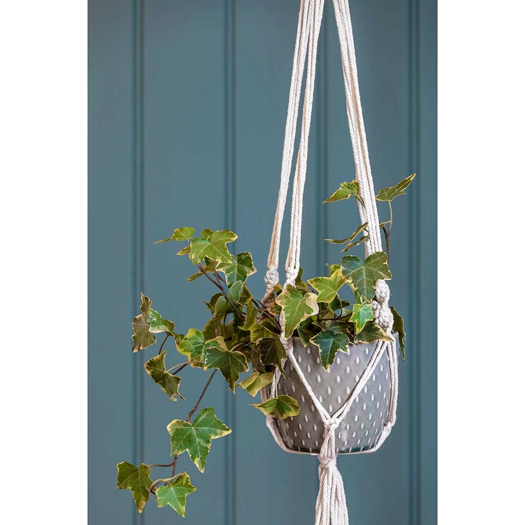 Macrame Hanging Plant Pot 4 Macrame Hanging Plant Pot - Image 2