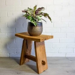 Calathea Fusion White 28 Calathea Fusion White -Plant Promotion Store mya deep champagne plant pot calathea fusion white 6080c3a7 fb49 4b29 a5b8 9e06ac49b742