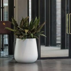 Pax Essentials Planter - Matt White 13 Pax Essentials Planter - Matt White -Plant Promotion Store pax planter essential matte white office plants