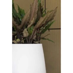 Pax Essentials Planter - Matt White 17 Pax Essentials Planter - Matt White -Plant Promotion Store pax planters essential matte white clos up