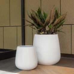 Pax Essentials Planter - Matt White 15 Pax Essentials Planter - Matt White -Plant Promotion Store pax planters essential matte white office plants