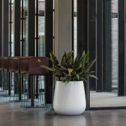 Pax Essentials Planter - Matt White 18 Pax Essentials Planter - Matt White -Plant Promotion Store pax planters essential matte white office reception plants