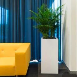 Bouvy Essentials Planter - Matt White -Plant Promotion Store pottery pots essential matte bouvy 5