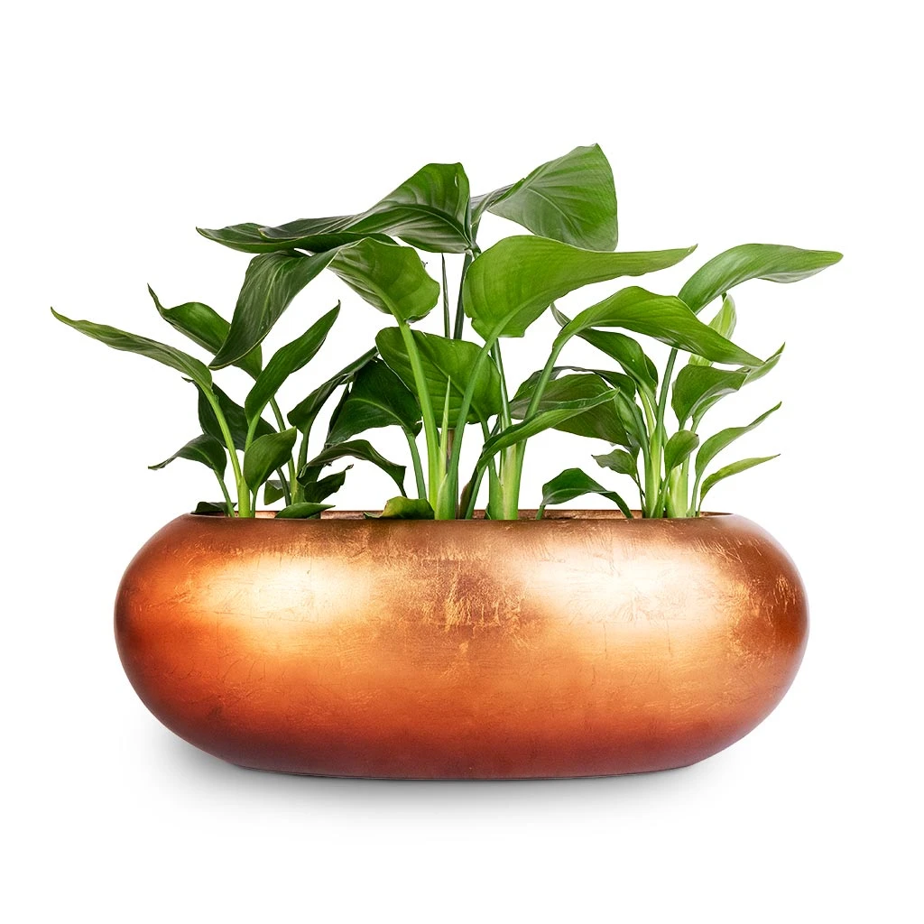 Metallic Boat Planter - Matt Copper 4 Metallic Boat Planter - Matt Copper - Image 2